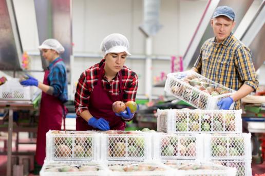 Diploma agrario Diploma agrario